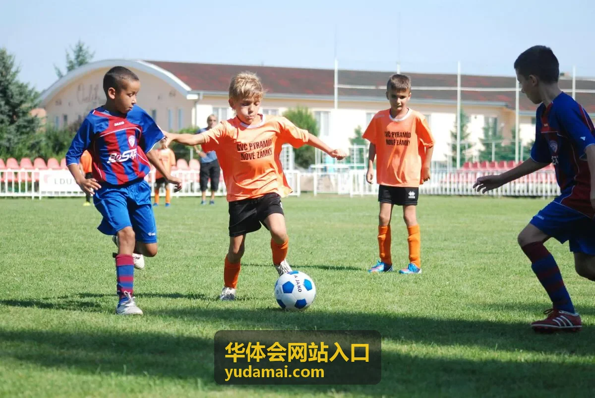 华体会网站入口 二次验证方式选择说明